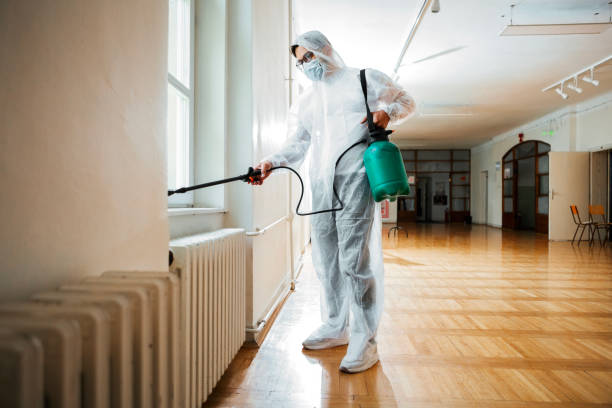 Professional Pest Control in Inglis, FL